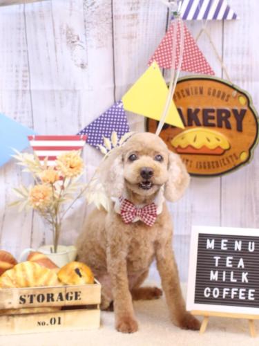 20240920マノアちゃん